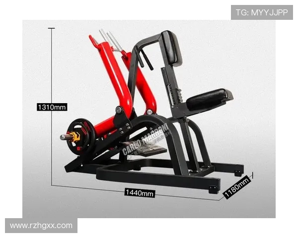 运动健身器材种类 全面了解不同健身器材的功能